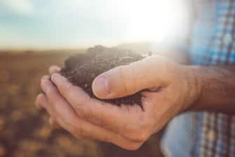 Farmer holding pile of arable soil, male agronomist examining quality of fertile agricultural land, close up