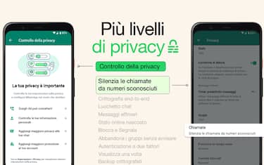 Privacy Whatsapp