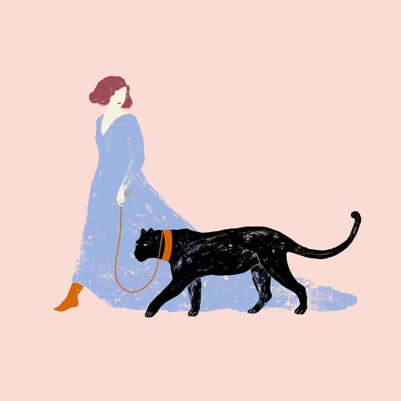 Elisa Talentino, Animale guida, inedito