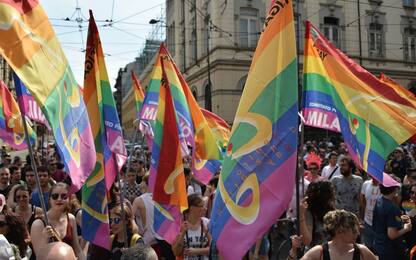 “Ho molti amici&nbsp;gay”: gli attacchi omofobi della politica italiana<br>
