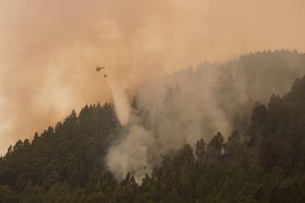 epa10804408 An aircraft fights the forest fire at El Rosario in Tenerife, Canary Islands, Spain, 17 August 2023, as the wildfire affecting the area continues out of control. The fire, that started on 15 August 2023, has already burnt 2,600 hectares within a 31 km perimeter and has forced inhabitants from El Rosario to stay indoors.  EPA/RAMON DE LA ROCHA