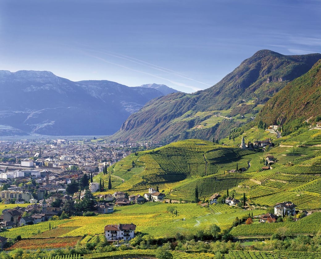 Bolzano vineyard. Copyright Tourist board of Bolzano - Clemens Zahn Weinstadt