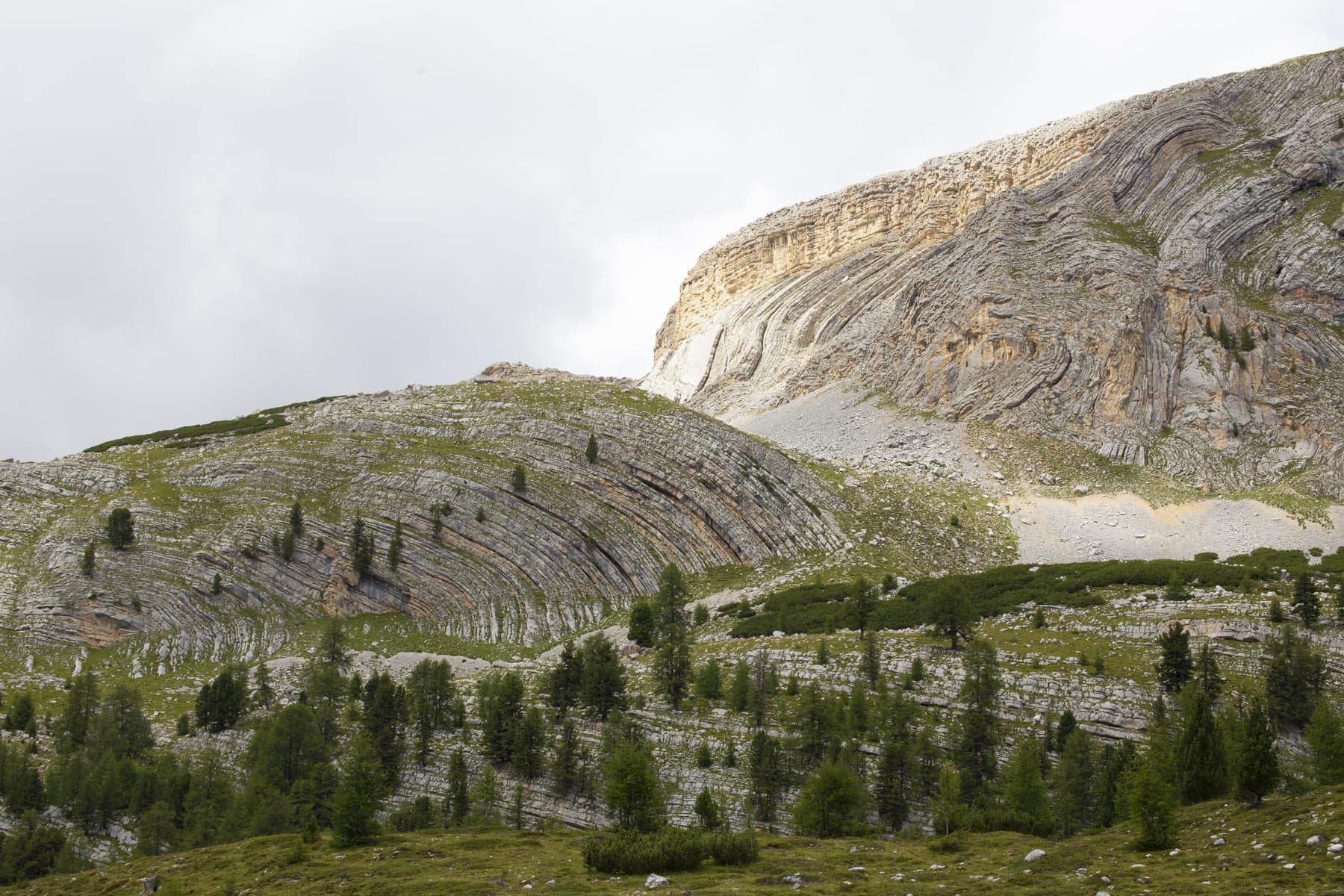 The_Parliament_of_Marmots_(Alpe_di_Fanes)._Simone_Antonazzo_HR_(1)_(1).jpg