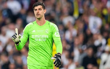 12) THIBAUT COURTOIS