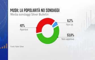 musk: la popolarità nei sondaggi