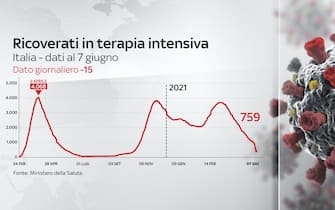 Nel grafico l'andamento dei ricoverati in terapia intensiva