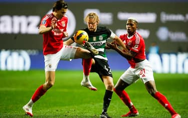 Primeira Liga (Portogallo)