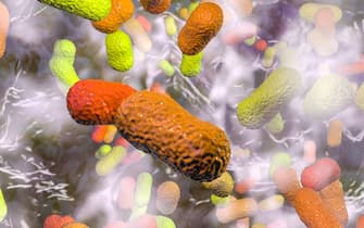 Multi-drug resistant Acinetobacter baumannii bacteria inside biofilm, computer illustration. A. baumannii is a Gram-negative, oxidase negative, aerobi