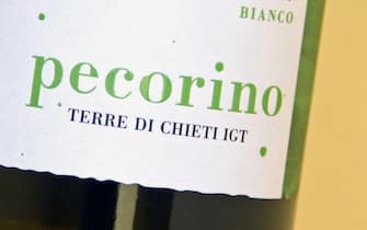Wine label. Christian Patat Pecorino Terre di Chieti Igt. Bianco. 2020.