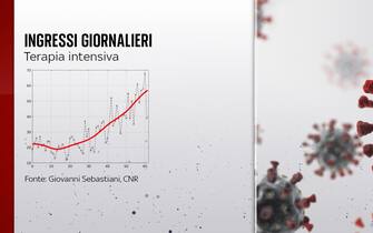 L'andamento degli ingressi giornalieri in terapia intensiva