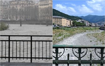 siccita