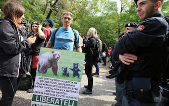 Bear JJ4 Protest. Trento, Italy on April 23, 2023. Protest in support of the bears, JJ4 and others who are actually at the Alpine Wildlife Recovery Centre in Casteller, Trentino. Andrea Papi, 26, was killed by Jj4 brown bear while out on a mountain training run between April 5-6 2023;



Pictured: GV,General View

Ref: SPL5539593 230423 NON-EXCLUSIVE

Picture by: Pierre Teyssot / SplashNews.com



Splash News and Pictures

USA: +1 310-525-5808
London: +44 (0)20 8126 1009
Berlin: +49 175 3764 166

photodesk@splashnews.com



World Rights,