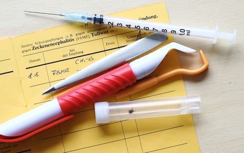 Vaccination against tick-borne encephalitis with vaccination card, syringe and tick tongs