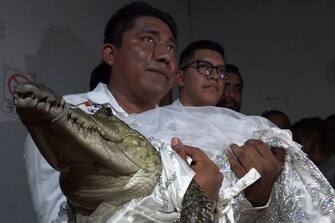 Victor Hugo Sosa, Mayor of San Pedro Huamelula, holds a spectacled caiman (Caiman crocodilus) called "La NiÃ±a Princesa" ("The Princess Girl") before marrying her in San Pedro Huamelula, Oaxaca state, Mexico on June 30, 2023. This ancient ritual of more than 230 years unites two ethnic groups in marriage to bring prosperity and peace. The spectacled caiman (Caiman crocodilus) is paraded around the community before being dressed as a bride and marrying the Mayor. According to beliefs, this union between the human and the divine will bring blessings such as a good harvest and abundant fishing. (Photo by RUSVEL RASGADO / AFP) (Photo by RUSVEL RASGADO/AFP via Getty Images)