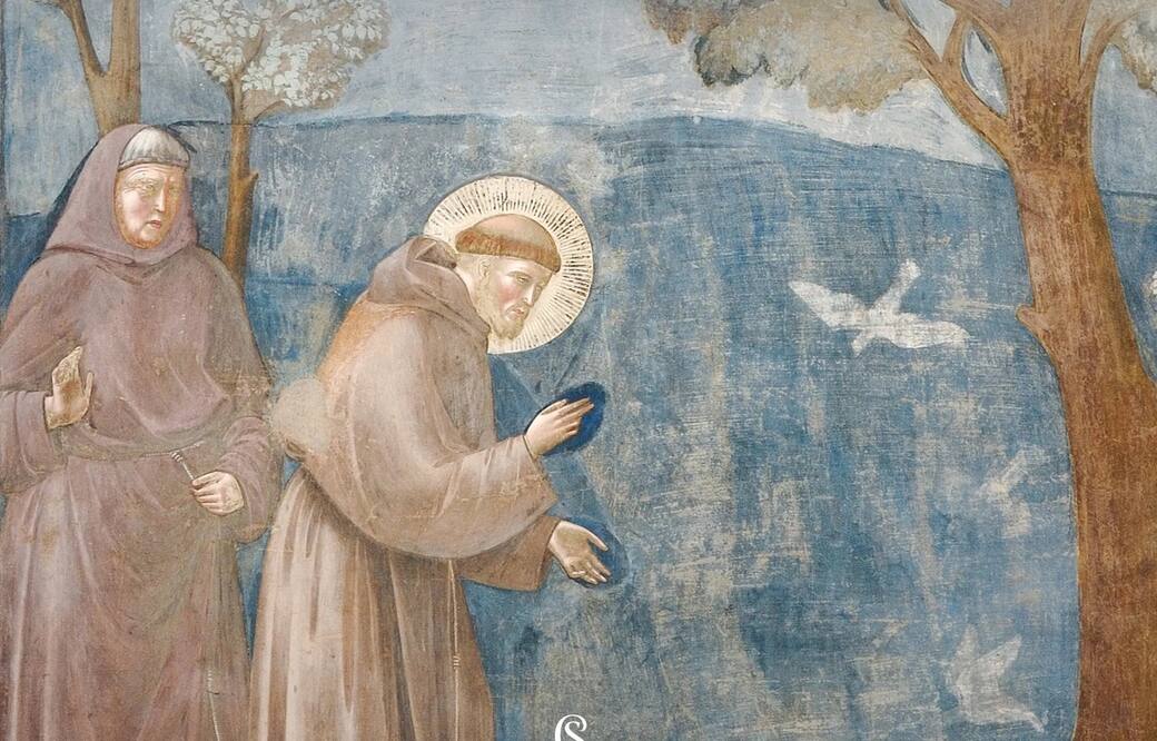 Un dettaglio della copertina di “Come San Francesco inventò l’arte moderna”