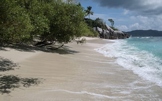 A picture taken on November 21, 2019, shows a nesting beach of hawksbill turtles in Cousin Island,  a nature reserve island managed by Nature Seychelles, a national environmental NGO, Seychelles. - The Seychelles, a byword for luxury holidays and Instagram-perfect beaches, lives off tourism. But the idyllic honeymoon abode is confronting a tug-of-war over how to keep the economy growing, while protecting its fragile ecosystem.
High-end tourism, mainly from Europe, helped pull the Seychelles from the brink of financial ruin after the 2008 economic crisis. Visitor numbers doubled in the decade that followed to around 360,000 today. (Photo by Yasuyoshi CHIBA / AFP) (Photo by YASUYOSHI CHIBA/AFP via Getty Images)