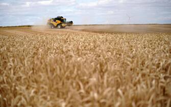 epa07705550 A combine harvester works a barley field near Worms, Germany, 09 July 2019.  EPA/RONALD WITTEK