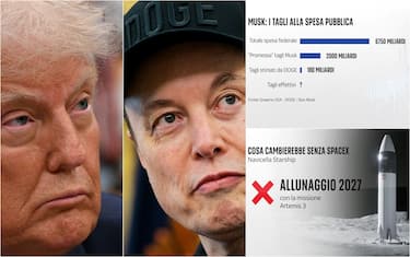donald trump, elon musk e due grafiche di numeri