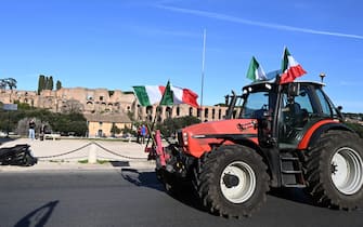 Farmers gather at Circo Massimo during a protest to ask for better working conditions on February 15, 2024. Farmers staged demonstrations for weeks all around Italy to demand lower fuel taxes, better prices for their products and an easing of EU environmental regulations that they say makes it more difficult to compete with cheaper foreign produce. (Photo by Tiziana FABI / AFP)
