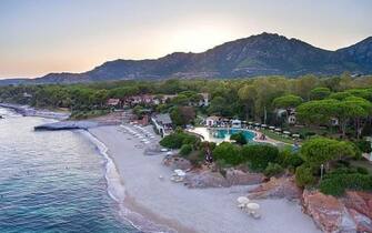 Is Morus Relais