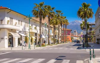 Promenade with palm trees, Shopping street in Forte dei Marmi, Versilia, Tuscany, Italy