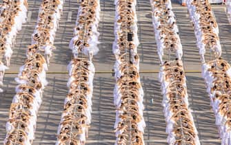 ondance milano roberto bolle piazza duomo ballo in bianco