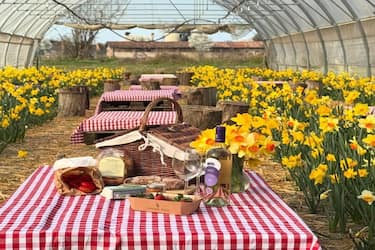 A Cascina Pizzo aperitivo picnic in una serra fiorita