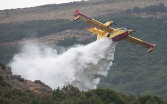 Un canadair spegne un incendio