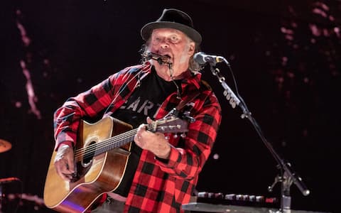SARATOGA SPRINGS, NEW YORK - SEPTEMBER 21: Neil Young performs in concert during Farm Aid 2024 at Saratoga Performing Arts Center on September 21, 2024 in Saratoga Springs, New York. (Photo by Gary Miller/Getty Images)