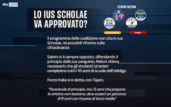 Elezioni programmi partiti ius scholae