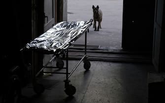 A dog looks on next to an empty stretcher at a stabilization point near Bakhmut, on May 20, 2023, amid the Russian invasion of Ukraine. Ukraine on May 20, 2023, said it retained some ground control in the eastern city of Bakhmut, which Russia's Wagner group claimed to have captured, with fighting ongoing and the situation "critical". (Photo by Sergey SHESTAK / AFP) (Photo by SERGEY SHESTAK/AFP via Getty Images)