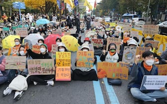 Manifestazione per il clima a Seul