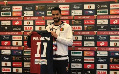 Genoa, Palladino: "Sto vivendo una favola"