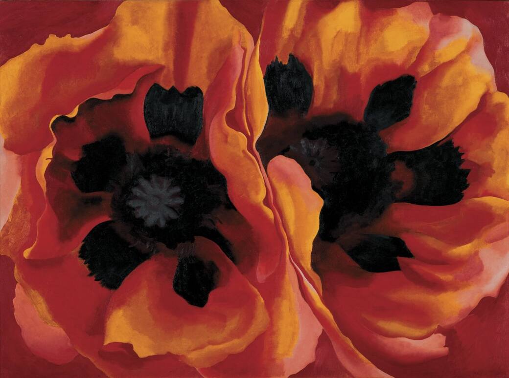 Georgia-OKeeffe-Oriental-Poppies-1927.-Collection-of-the-Frederick-R.-Weisman-Art-Museum-at-the-University-of-Minnesota-Minneapolis-©-Georgia-O’Keeffe-Museum-VEGAP-Madrid.jpg