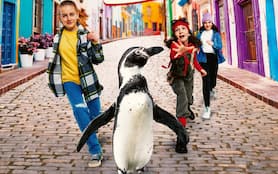 Paul, il pinguino da salvare: ecco una clip esclusiva del film