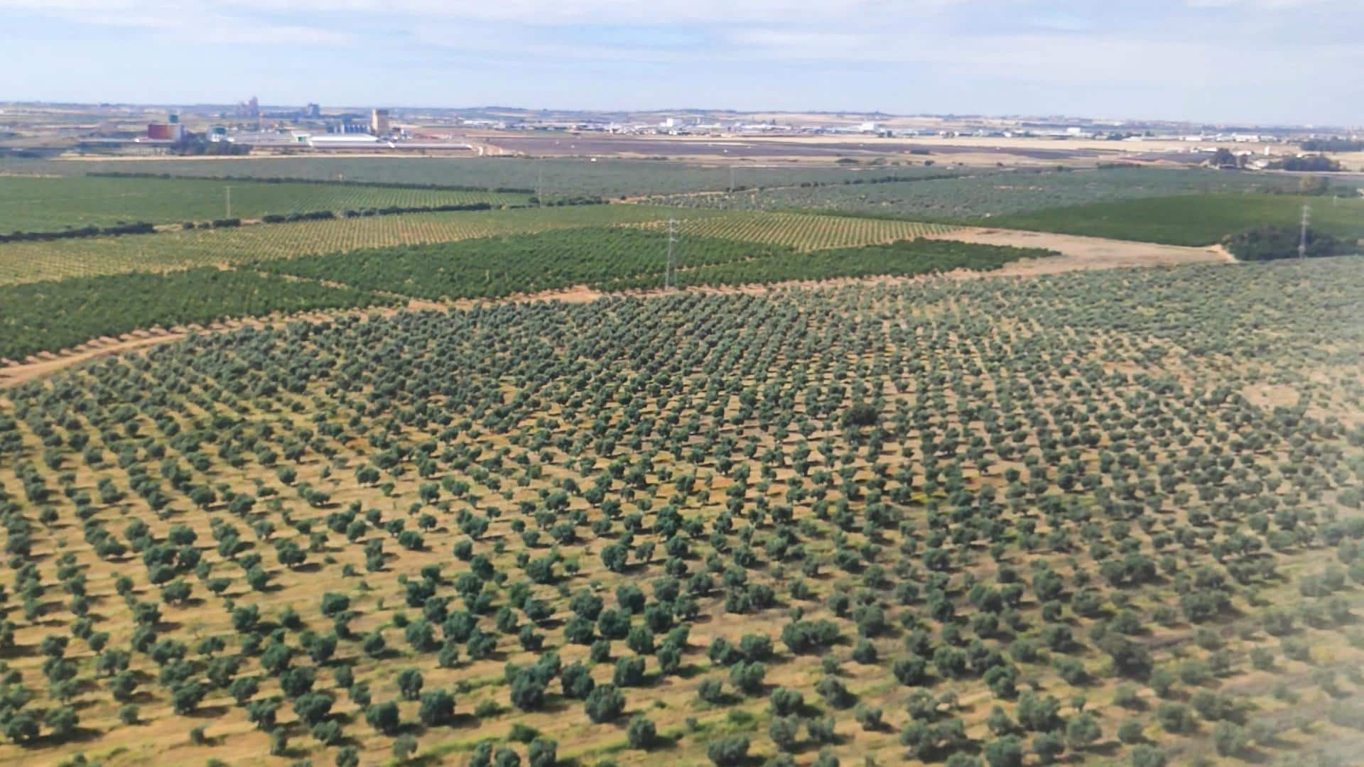 Campi coltivati in Spagna