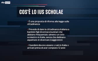 Elezioni programmi partiti ius scholae