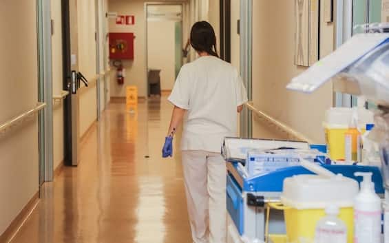 West Nile, 8 casi, di cui 4 ricoveri, in Campania. De Luca: "Situazione sotto controllo"