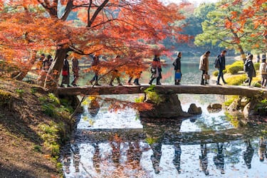 Kyoto, templi in palette autunno