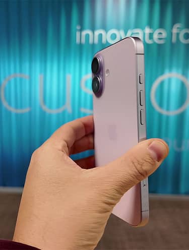 Verdetto, disponibilità e prezzi