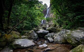Great alibang waterfall are biggest waterfall in Yangmingshan National Park, hidden in the forest and big rocks, in New Taipei City, Taiwan.