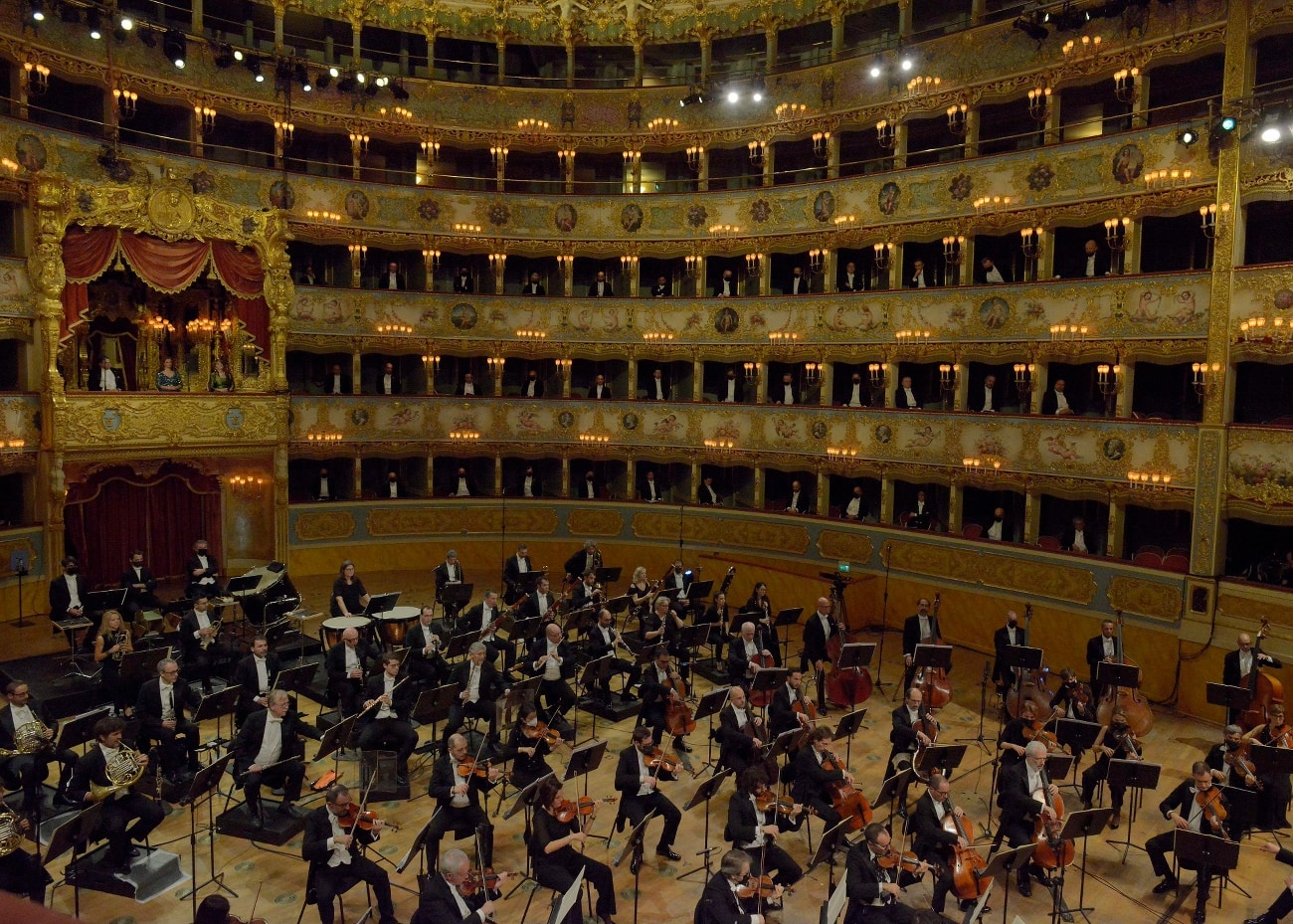 concerto_in_fenice_.jpeg