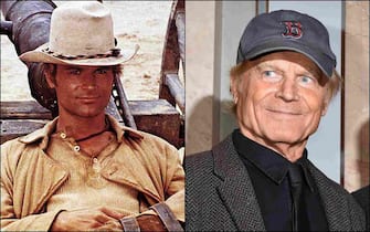Terence Hill collage