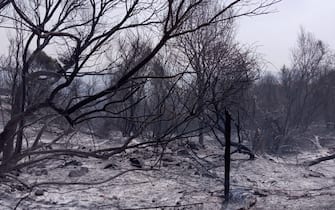 Incendi in Italia