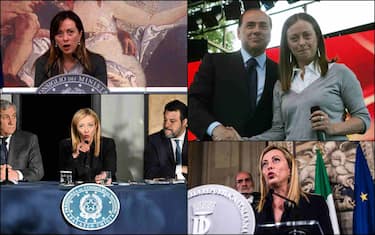 Meloni