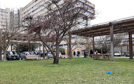 intossicazione alimentare a cagliari 4 gravi tra cui un bambino ipotesi botulino