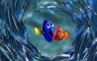 alla ricerca di nemo film
