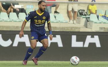Verona-Torino, venerdì ore 20:45 su Sky Sport