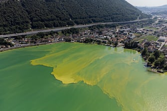 epa10815896 An image taken with a drone shows the water of Lake Lugano coloured in green and yellow due to a strong Cyanobacteria (Blue-Green Algae) proliferation, near Riva San Vitale, Switzerland, 23 August 2023. The proliferation of blue-green algeae is favoured by higher water temperatures. In cases of heavy proliferation, the bacteria can release substances that are potentially dangerous to humans and animals.  EPA/Elia Bianchi
