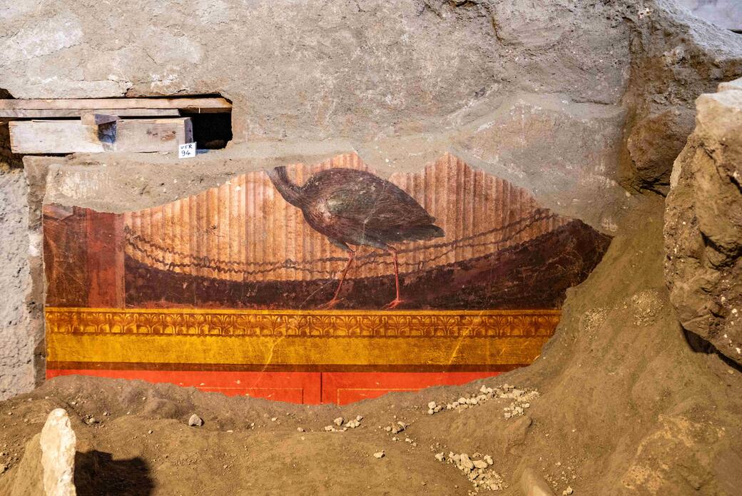 Cantiere scavo Oplontis